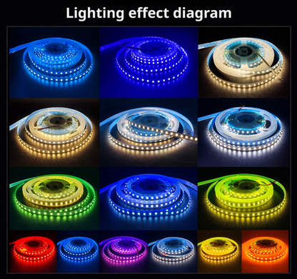 2835 LED Strip Light 12V 24V | Low Voltage Flexible Self-Adhesive